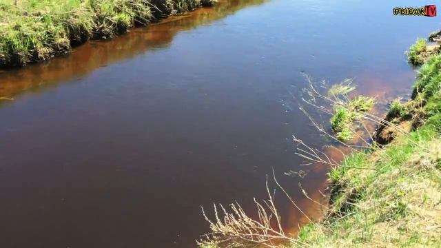 Выезд на речку. Май 2017. Пярдомля. смотреть онлайн