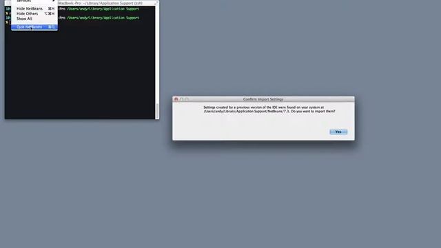 NetBeans 7.3 - remove user folder - import dialog hang смотреть онлайн