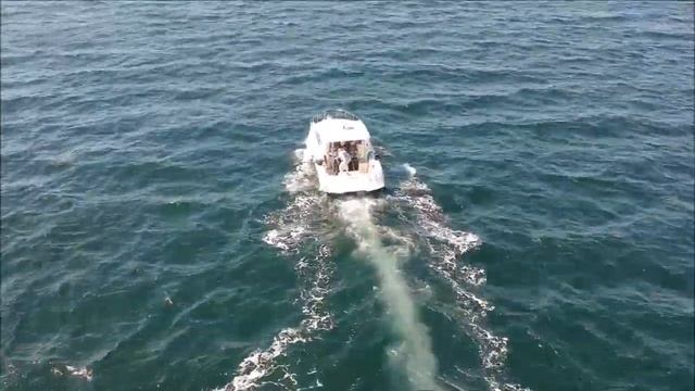 Рыбалка во Владивостоке 2019 смотреть онлайн