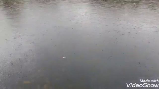 Патриаршие пруды. смотреть онлайн