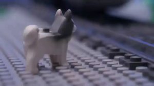 Правила безопасного поведения детей на железной дороге!