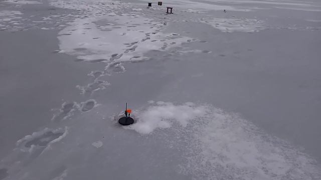 РЫБАЛКА В РЕАЛЬНОЕ ГЛУХОЗИМЬЕ р. Южный Буг смотреть онлайн