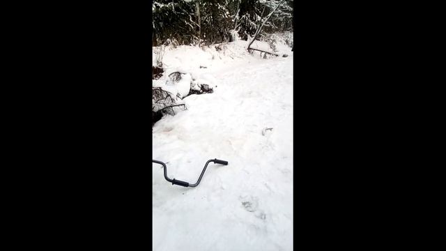 Ловим рыбку, кормим лису. смотреть онлайн