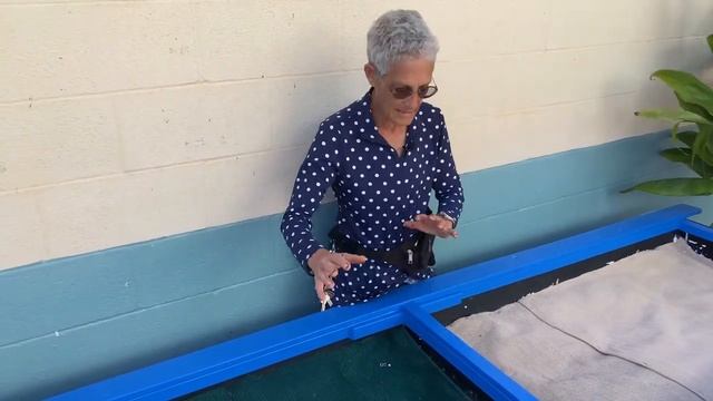 Option 5: Lateral Flow System - Zero Waste Worm Ohana смотреть онлайн