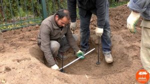 Установка подземного крепления при посадке крупномеров с комом земли.