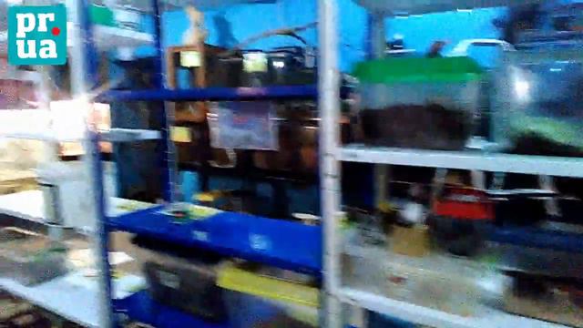 В центре Мариуполя затопило зоомагазин смотреть онлайн