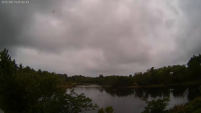 Cloud Camera 2020-04-26: Everglades Wetland Research Park смотреть онлайн