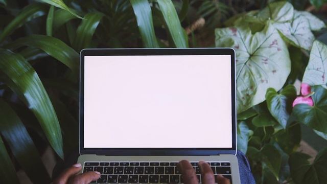 Происхождение клавиатуры QWERTY смотреть онлайн