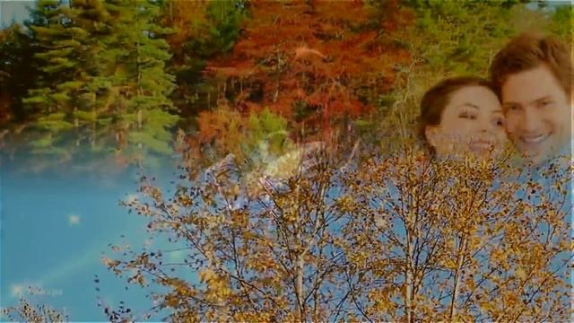 "УХОДЯЩАЯ ОСЕНЬ"♫ Сергей Грищук. Красивая мелодия смотреть онлайн