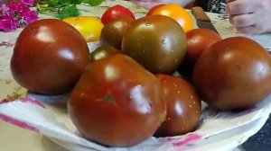 Вкусный урожайный томат Черная Лакомка