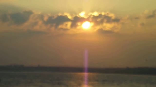 Fujifilm S2950 Video Test смотреть онлайн