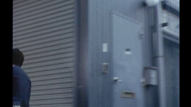 太陽にほえろ！ 第164話 バラの好きな君へ