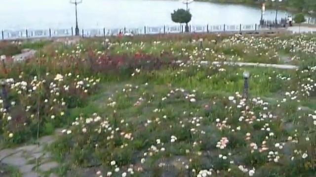 Донецк,ЦПКО им. ЩЕРБАКОВА смотреть онлайн