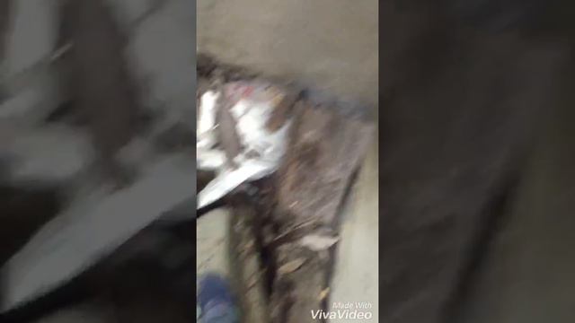 Заброшенная дача часть 1