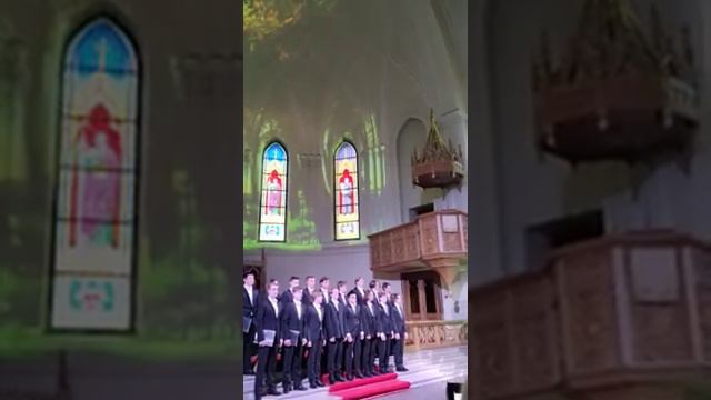 Скрипка Хироко Нинагава Япония смотреть онлайн