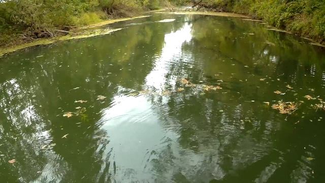 Джерк сводил Щуку с ума. И меня тоже. Рыбалка на нервах) смотреть онлайн