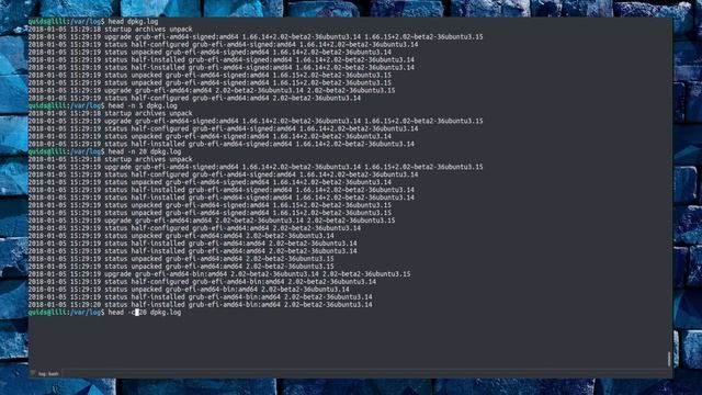 Linux Terminal Basics: Text Viewers - Cat, More, Less, Head, Tail, Grep, Od смотреть онлайн