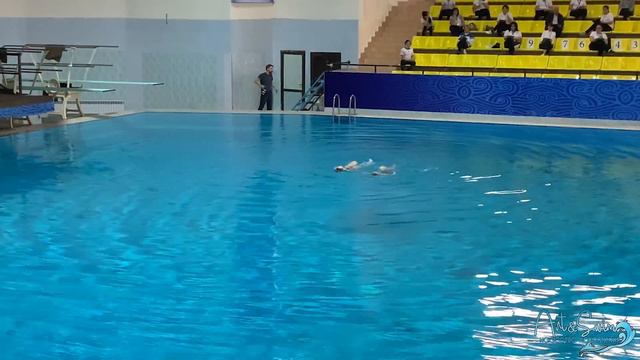 Art & Swim, Дуэт, 12 лет и моложе, Колесова София, Салихова София, Открытый кубок Узбекистана 2020 смотреть онлайн