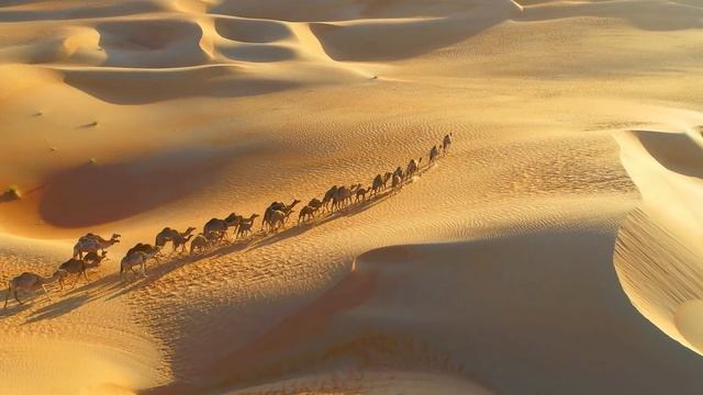 Дубаи смотреть онлайн