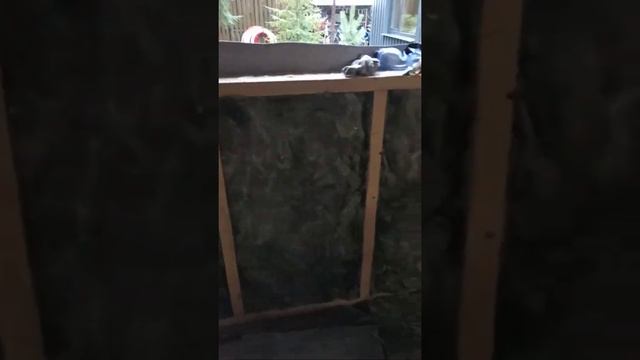 Утепление каркасного дома минеральным утеплителем смотреть онлайн