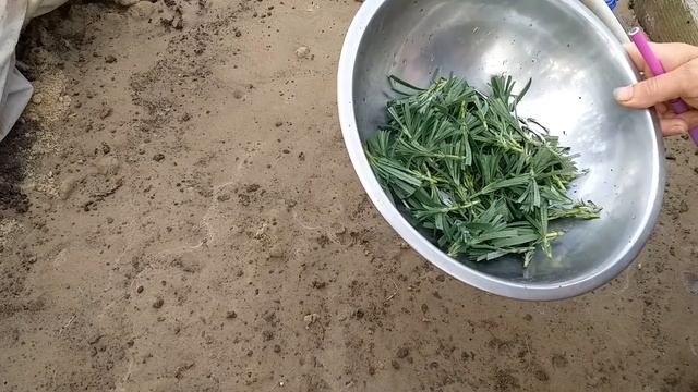 Мастер Дома