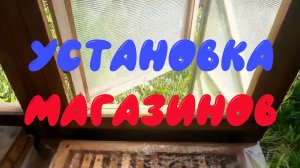 С середины Мая начинаем собирать товарный мёд