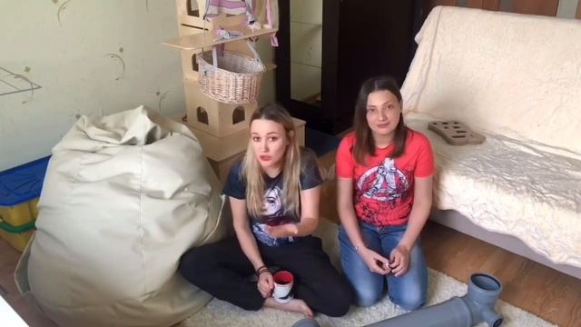 Домашний Соболь Бадди как выжить с соболем !