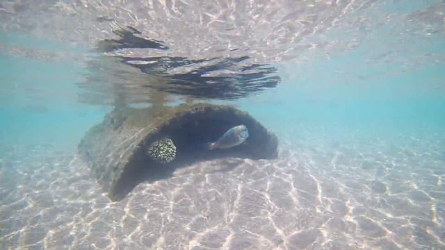 Передышка в Египте. Шарм-эль-Шейх 2019