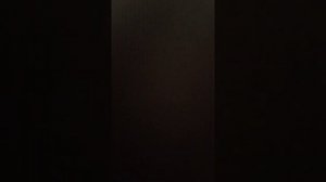 Рисую котенка Лайка