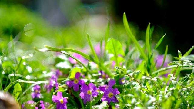 Снимаем видео на Fujiiflm X-T4 - часть 4