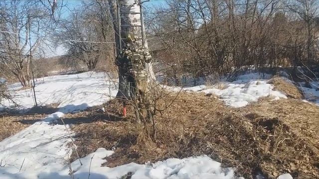 Коттеджи для скворцов смотреть онлайн