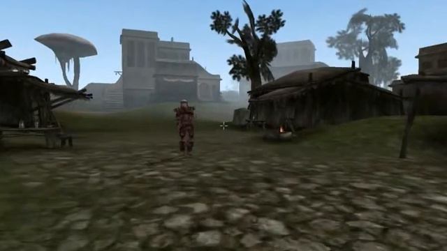 Morrowind 15 (Dren Plantation)