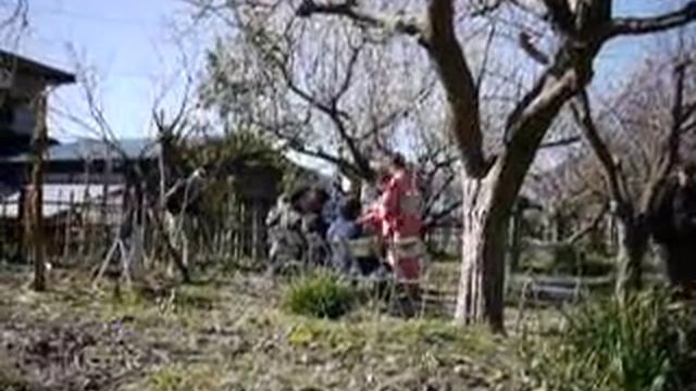 蘇峰堂茶会_22.MOV смотреть онлайн