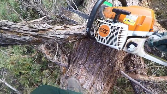 Using 2 Chain Saw At Once смотреть онлайн
