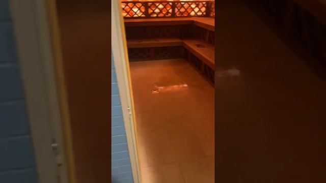 Обзор нового аквапарка Океанис в Нижнем Новгороде /Екатерина Веденеева смотреть онлайн