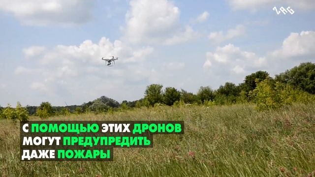 Экология: геоинформационные системы (ГИС) смотреть онлайн