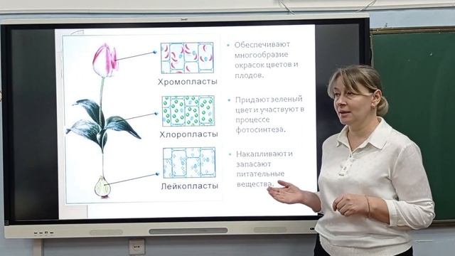 УРОК ПО БИОЛОГИИ 7 КЛАСС. ФРОМ ОЛЬГА АНДРЕЕВНА