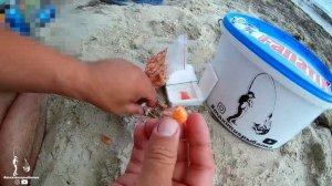 Лучший монтаж наживки на ПЕЛЕНГАСА! Как правильно насадить вареную креветку на крючок?