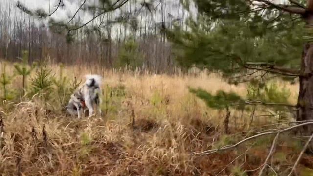 Место драки! спустя 3 мес смотреть онлайн