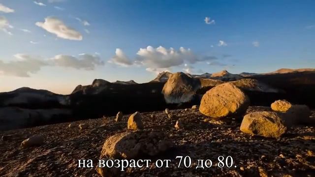 Самые счастливые люди — после 50 — Статья смотреть онлайн