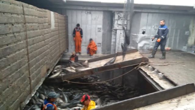 РАБОТАЕМ В МОРЕ 2 РЫБА смотреть онлайн