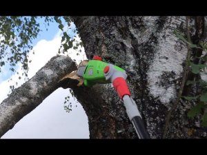 Обрезка веток на высоте 4м. Высоторез аккумуляторный REDVERG RD-TPS18/U