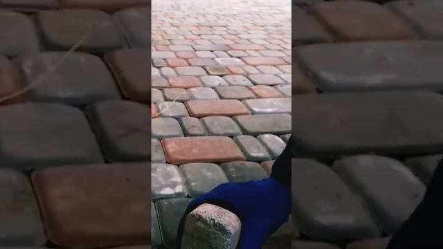 выставляем маяки по леске на усадку 5мм укладка тротуарной плитки смотреть онлайн