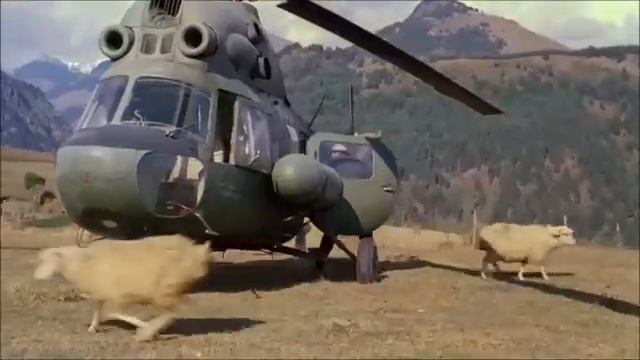 #советское #а вы баранов перед сном как считали с собой или без?