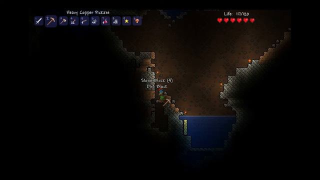 Terraria w/Liam Part 5- SLOW-MO смотреть онлайн