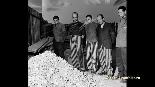 Ли Миллер Lee Miller Elizabeth Miller биография работы смотреть онлайн