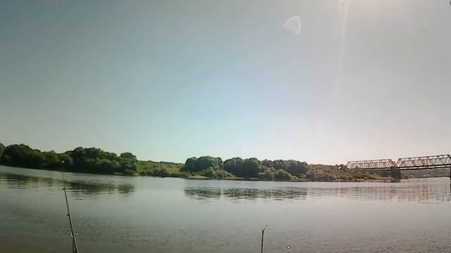 Бешеный клев подлещиков на реке Ока!!! смотреть онлайн