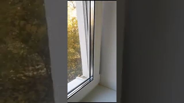 Выполнили установку пластиковых окон? Получили отзыв от клиентки??#стройгарант смотреть онлайн
