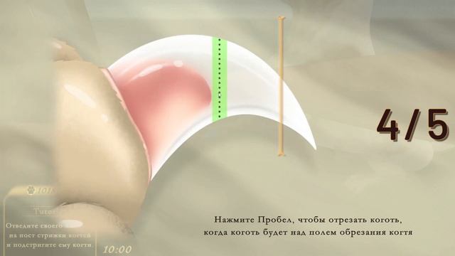 Pets Hotel: Prologue первый взгляд.