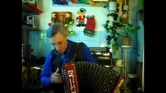Е.Василек "Галина" ( Растет возле дома калина ) на гармони смотреть онлайн